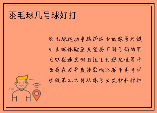羽毛球几号球好打